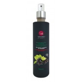 Balsamic Vinegar of Modena Spray 250ml